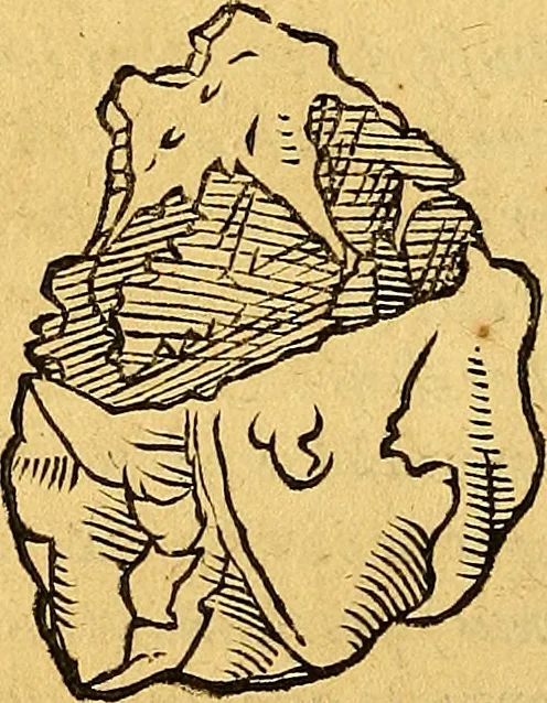 An illustration from Historia novi et admirabilis fontis balneique Bollensis in Ducatu Vvirtembergico ad acidulas Goepingenses ..., 1598, leaf 327