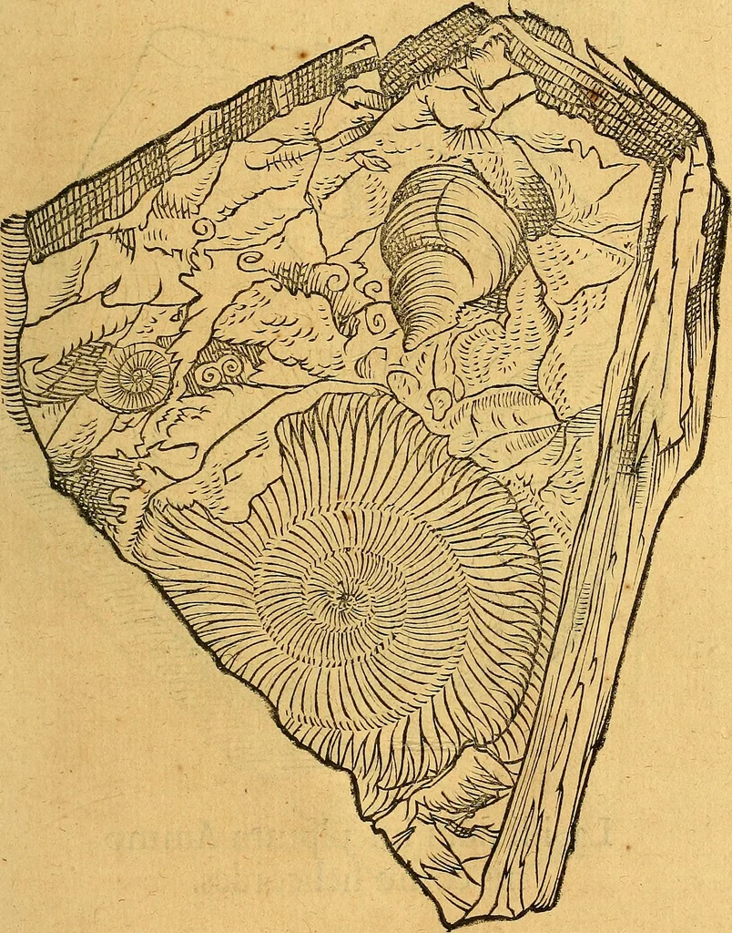 An illustration from Historia novi et admirabilis fontis balneique Bollensis in Ducatu Vvirtembergico ad acidulas Goepingenses ..., 1598, leaf 330