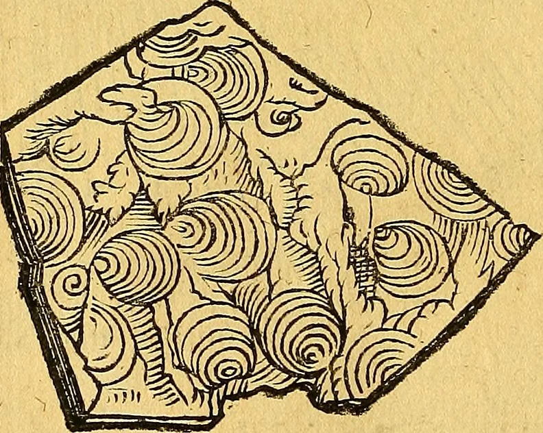 An illustration from Historia novi et admirabilis fontis balneique Bollensis in Ducatu Vvirtembergico ad acidulas Goepingenses ..., 1598, leaf 335