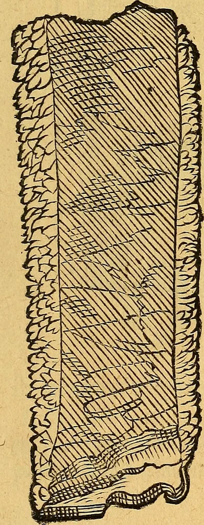 An illustration from Historia novi et admirabilis fontis balneique Bollensis in Ducatu Vvirtembergico ad acidulas Goepingenses ..., 1598, leaf 336