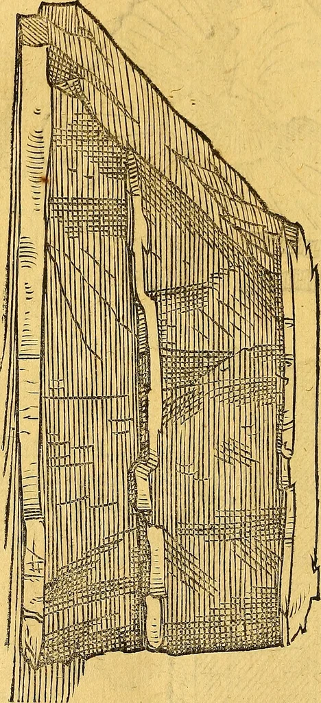 An illustration from Historia novi et admirabilis fontis balneique Bollensis in Ducatu Vvirtembergico ad acidulas Goepingenses ..., 1598, leaf 337