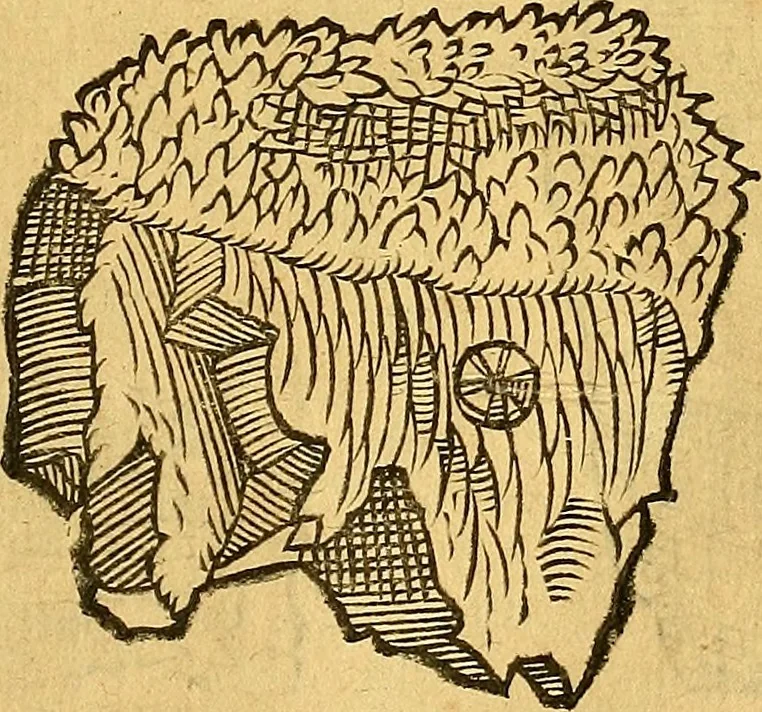 An illustration from Historia novi et admirabilis fontis balneique Bollensis in Ducatu Vvirtembergico ad acidulas Goepingenses ..., 1598, leaf 338
