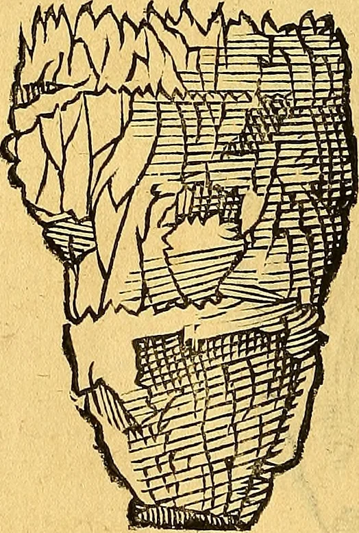 An illustration from Historia novi et admirabilis fontis balneique Bollensis in Ducatu Vvirtembergico ad acidulas Goepingenses ..., 1598, leaf 339