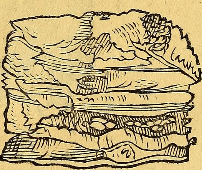 An illustration from Historia novi et admirabilis fontis balneique Bollensis in Ducatu Vvirtembergico ad acidulas Goepingenses ..., 1598, leaf 339