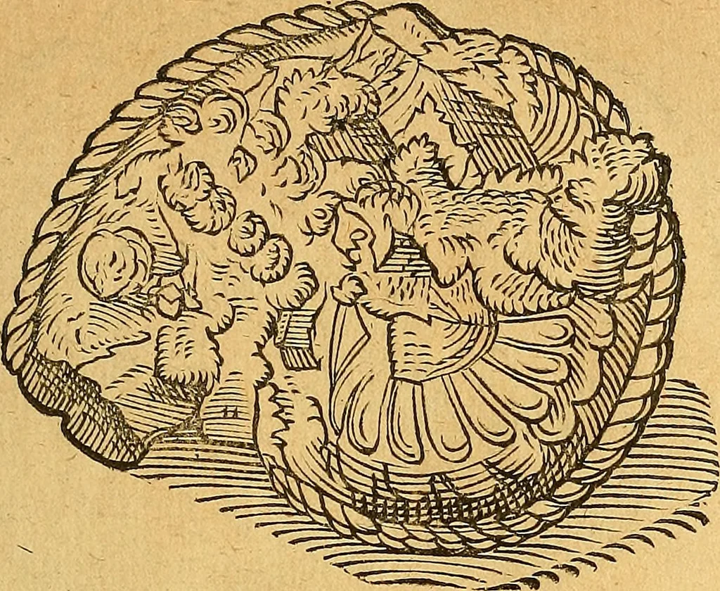 An illustration from Historia novi et admirabilis fontis balneique Bollensis in Ducatu Vvirtembergico ad acidulas Goepingenses ..., 1598, leaf 342