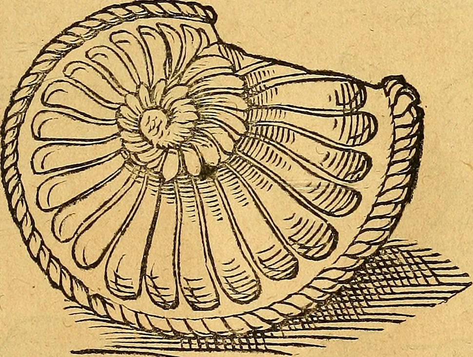An illustration from Historia novi et admirabilis fontis balneique Bollensis in Ducatu Vvirtembergico ad acidulas Goepingenses ..., 1598, leaf 344