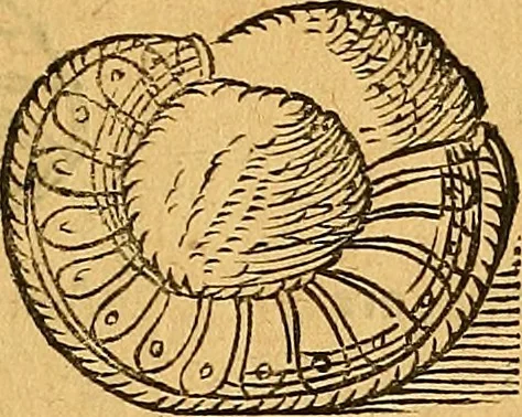 An illustration from Historia novi et admirabilis fontis balneique Bollensis in Ducatu Vvirtembergico ad acidulas Goepingenses ..., 1598, leaf 346