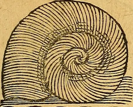 An illustration from Historia novi et admirabilis fontis balneique Bollensis in Ducatu Vvirtembergico ad acidulas Goepingenses ..., 1598, leaf 346