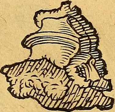 An illustration from Historia novi et admirabilis fontis balneique Bollensis in Ducatu Vvirtembergico ad acidulas Goepingenses ..., 1598, leaf 348