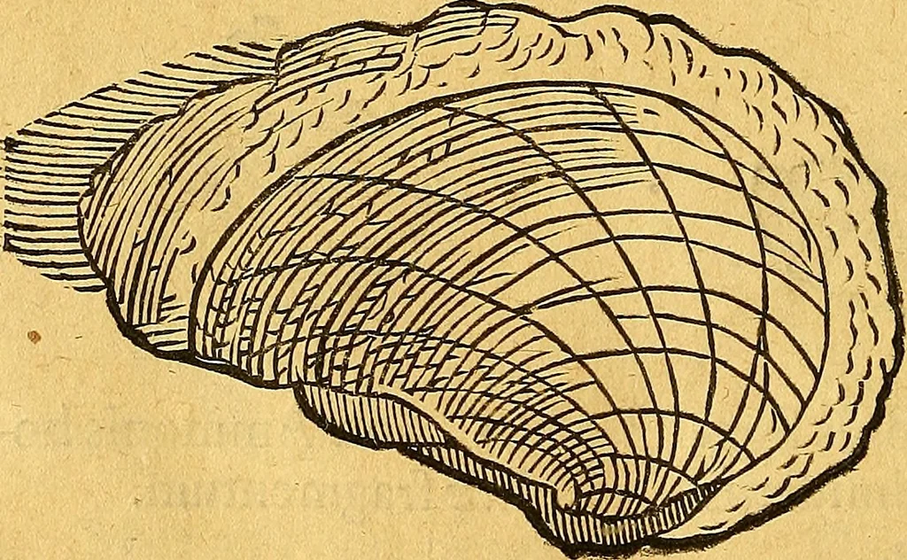 An illustration from Historia novi et admirabilis fontis balneique Bollensis in Ducatu Vvirtembergico ad acidulas Goepingenses ..., 1598, leaf 349