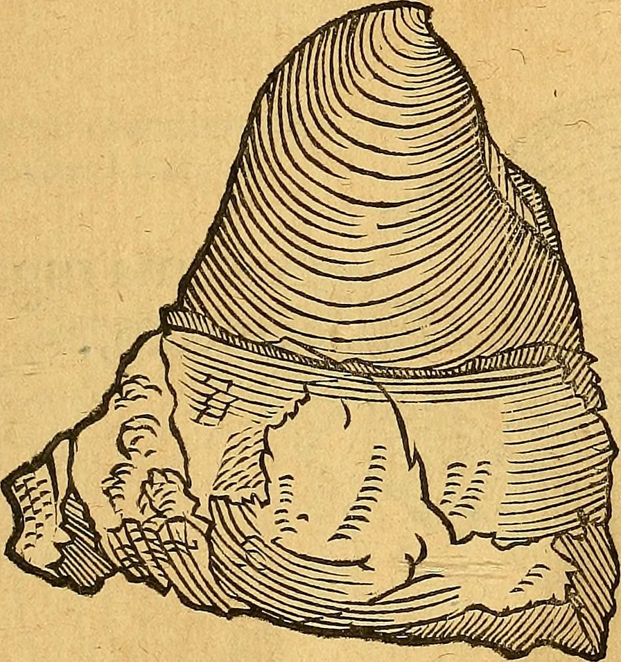 An illustration from Historia novi et admirabilis fontis balneique Bollensis in Ducatu Vvirtembergico ad acidulas Goepingenses ..., 1598, leaf 350