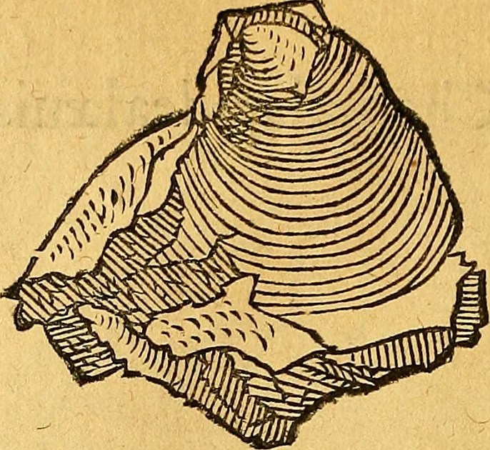 An illustration from Historia novi et admirabilis fontis balneique Bollensis in Ducatu Vvirtembergico ad acidulas Goepingenses ..., 1598, leaf 351