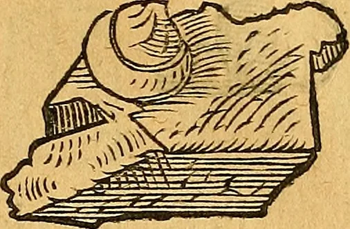 An illustration from Historia novi et admirabilis fontis balneique Bollensis in Ducatu Vvirtembergico ad acidulas Goepingenses ..., 1598, leaf 354