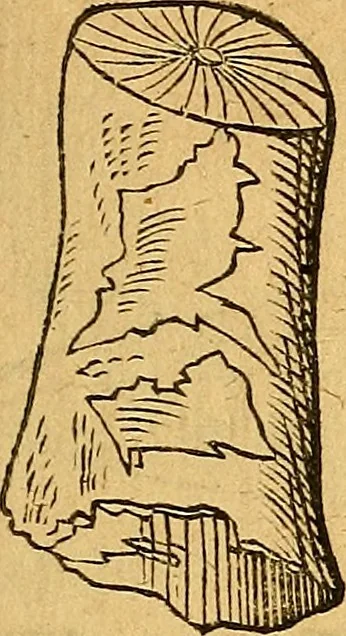 An illustration from Historia novi et admirabilis fontis balneique Bollensis in Ducatu Vvirtembergico ad acidulas Goepingenses ..., 1598, leaf 358