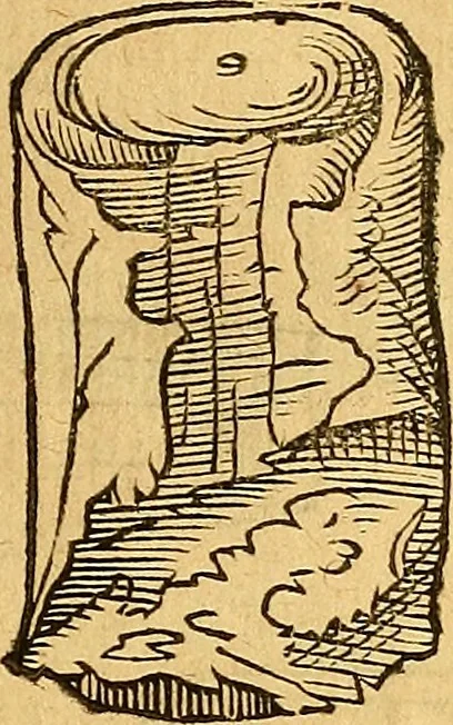 An illustration from Historia novi et admirabilis fontis balneique Bollensis in Ducatu Vvirtembergico ad acidulas Goepingenses ..., 1598, leaf 358