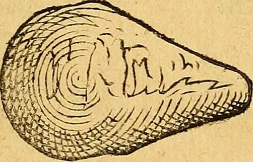 An illustration from Historia novi et admirabilis fontis balneique Bollensis in Ducatu Vvirtembergico ad acidulas Goepingenses ..., 1598, leaf 360