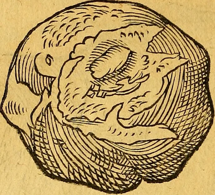 An illustration from Historia novi et admirabilis fontis balneique Bollensis in Ducatu Vvirtembergico ad acidulas Goepingenses ..., 1598, leaf 361