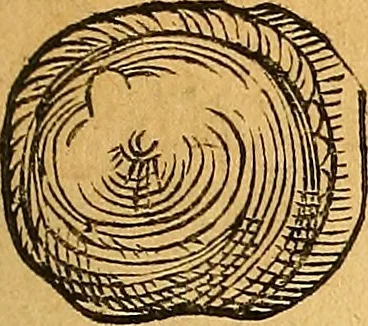 An illustration from Historia novi et admirabilis fontis balneique Bollensis in Ducatu Vvirtembergico ad acidulas Goepingenses ..., 1598, leaf 362