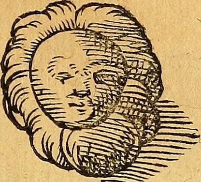 An illustration from Historia novi et admirabilis fontis balneique Bollensis in Ducatu Vvirtembergico ad acidulas Goepingenses ..., 1598, leaf 362