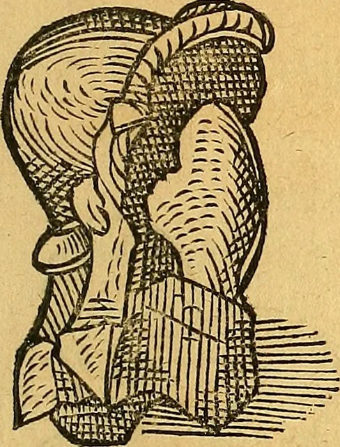 An illustration from Historia novi et admirabilis fontis balneique Bollensis in Ducatu Vvirtembergico ad acidulas Goepingenses ..., 1598, leaf 362