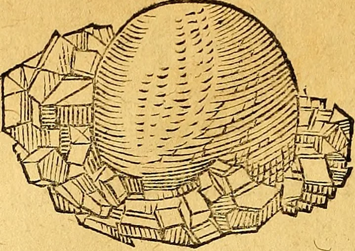 An illustration from Historia novi et admirabilis fontis balneique Bollensis in Ducatu Vvirtembergico ad acidulas Goepingenses ..., 1598, leaf 363
