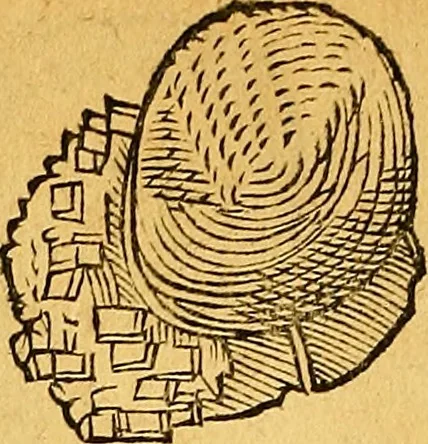 An illustration from Historia novi et admirabilis fontis balneique Bollensis in Ducatu Vvirtembergico ad acidulas Goepingenses ..., 1598, leaf 363