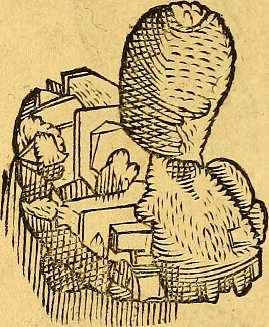 An illustration from Historia novi et admirabilis fontis balneique Bollensis in Ducatu Vvirtembergico ad acidulas Goepingenses ..., 1598, leaf 363