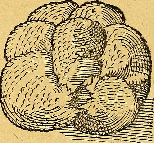 An illustration from Historia novi et admirabilis fontis balneique Bollensis in Ducatu Vvirtembergico ad acidulas Goepingenses ..., 1598, leaf 367