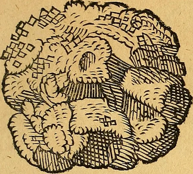 An illustration from Historia novi et admirabilis fontis balneique Bollensis in Ducatu Vvirtembergico ad acidulas Goepingenses ..., 1598, leaf 368