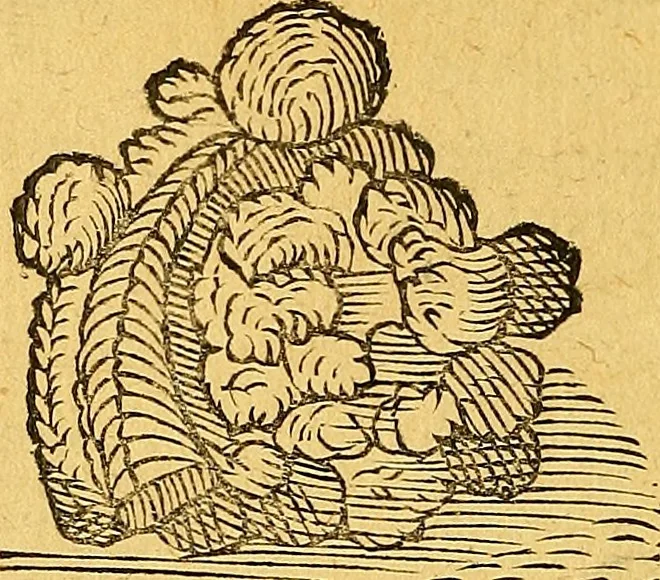 An illustration from Historia novi et admirabilis fontis balneique Bollensis in Ducatu Vvirtembergico ad acidulas Goepingenses ..., 1598, leaf 369
