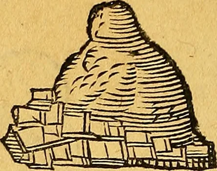 An illustration from Historia novi et admirabilis fontis balneique Bollensis in Ducatu Vvirtembergico ad acidulas Goepingenses ..., 1598, leaf 371