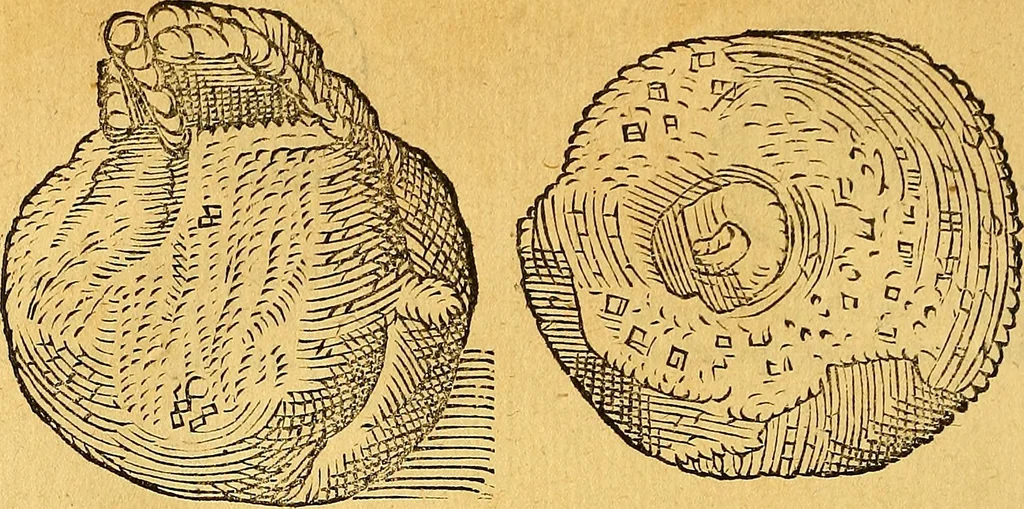 An illustration from Historia novi et admirabilis fontis balneique Bollensis in Ducatu Vvirtembergico ad acidulas Goepingenses ..., 1598, leaf 373
