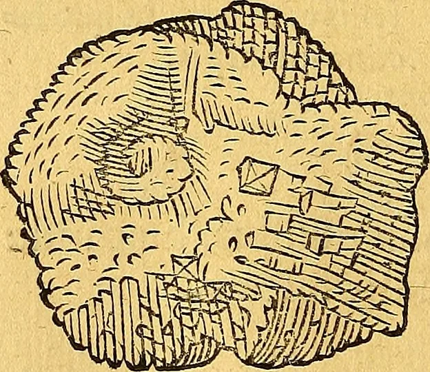 An illustration from Historia novi et admirabilis fontis balneique Bollensis in Ducatu Vvirtembergico ad acidulas Goepingenses ..., 1598, leaf 373