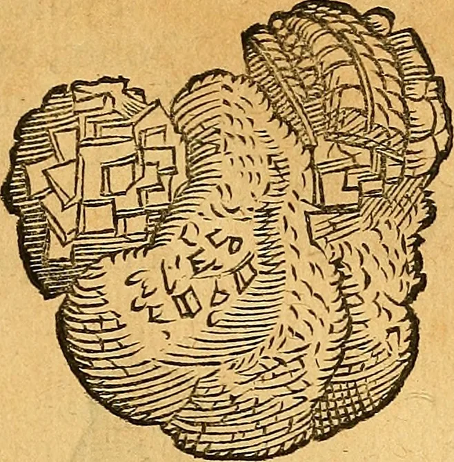 An illustration from Historia novi et admirabilis fontis balneique Bollensis in Ducatu Vvirtembergico ad acidulas Goepingenses ..., 1598, leaf 374