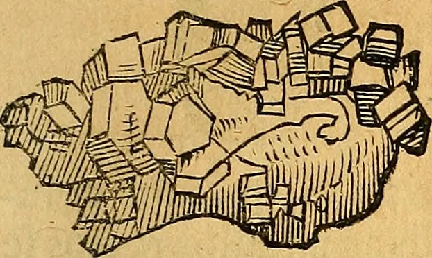 An illustration from Historia novi et admirabilis fontis balneique Bollensis in Ducatu Vvirtembergico ad acidulas Goepingenses ..., 1598, leaf 376