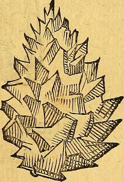 An illustration from Historia novi et admirabilis fontis balneique Bollensis in Ducatu Vvirtembergico ad acidulas Goepingenses ..., 1598, leaf 377