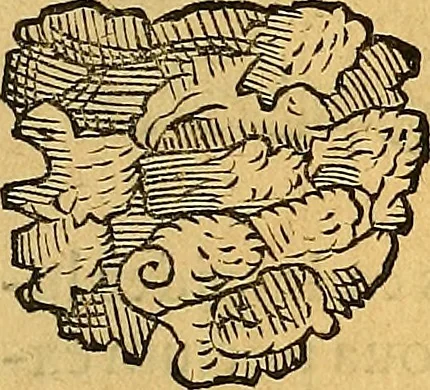 An illustration from Historia novi et admirabilis fontis balneique Bollensis in Ducatu Vvirtembergico ad acidulas Goepingenses ..., 1598, leaf 378