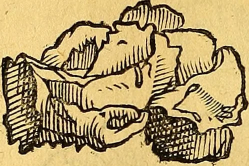 An illustration from Historia novi et admirabilis fontis balneique Bollensis in Ducatu Vvirtembergico ad acidulas Goepingenses ..., 1598, leaf 379