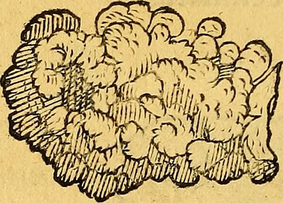 An illustration from Historia novi et admirabilis fontis balneique Bollensis in Ducatu Vvirtembergico ad acidulas Goepingenses ..., 1598, leaf 379