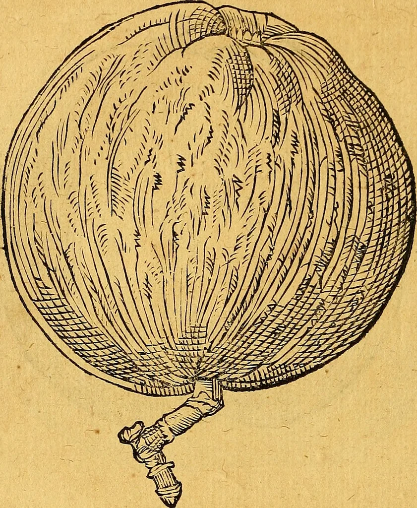 An illustration from Historia novi et admirabilis fontis balneique Bollensis in Ducatu Vvirtembergico ad acidulas Goepingenses ..., 1598, leaf 413