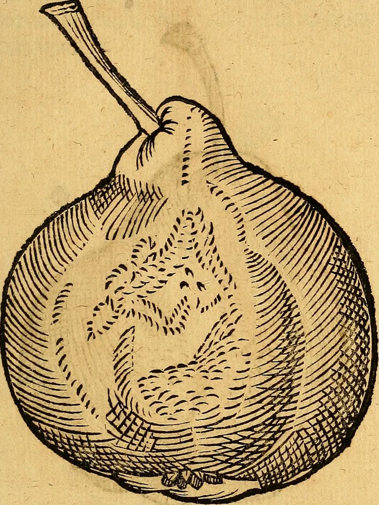 An illustration from Historia novi et admirabilis fontis balneique Bollensis in Ducatu Vvirtembergico ad acidulas Goepingenses ..., 1598, leaf 442