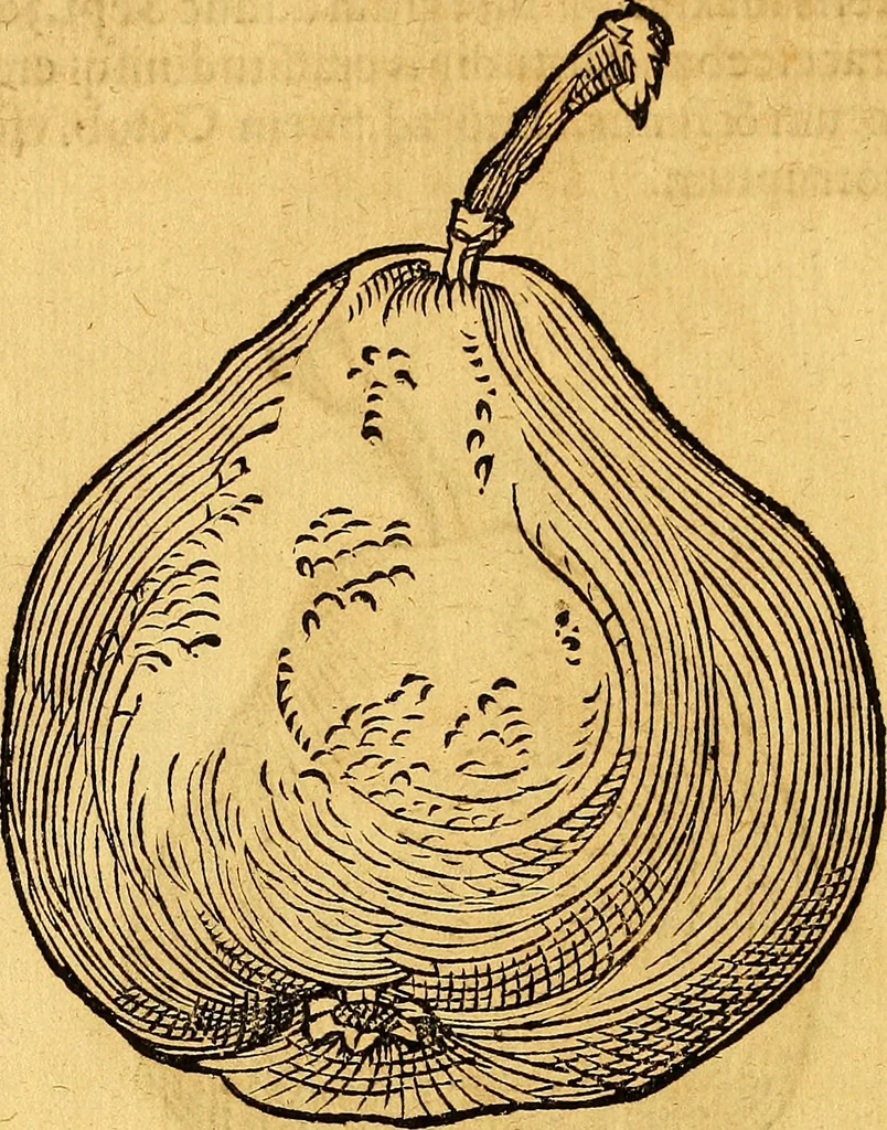 An illustration from Historia novi et admirabilis fontis balneique Bollensis in Ducatu Vvirtembergico ad acidulas Goepingenses ..., 1598, leaf 445