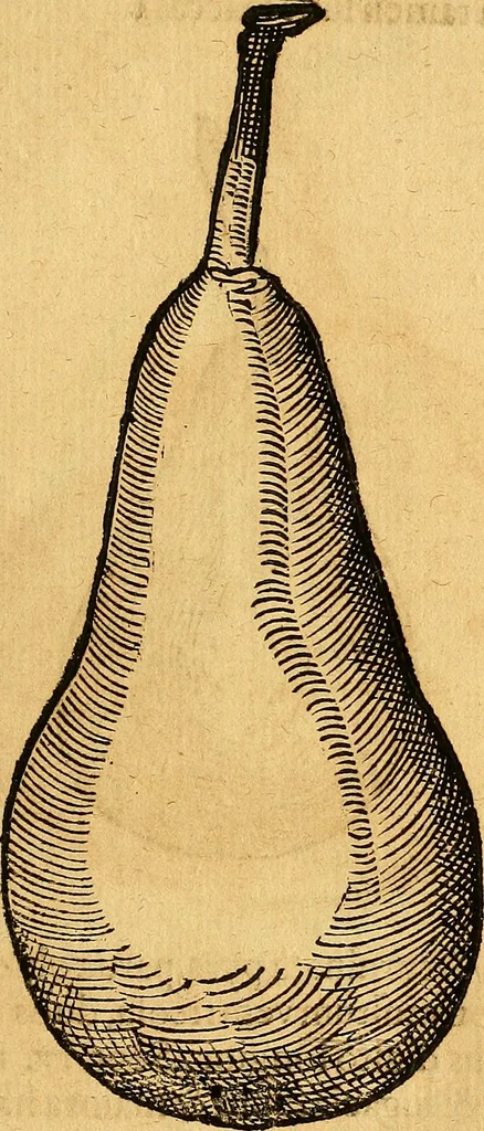 An illustration from Historia novi et admirabilis fontis balneique Bollensis in Ducatu Vvirtembergico ad acidulas Goepingenses ..., 1598, leaf 450