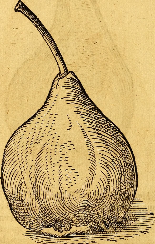 An illustration from Historia novi et admirabilis fontis balneique Bollensis in Ducatu Vvirtembergico ad acidulas Goepingenses ..., 1598, leaf 453