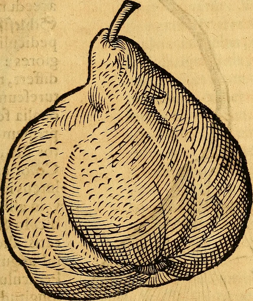 An illustration from Historia novi et admirabilis fontis balneique Bollensis in Ducatu Vvirtembergico ad acidulas Goepingenses ..., 1598, leaf 456
