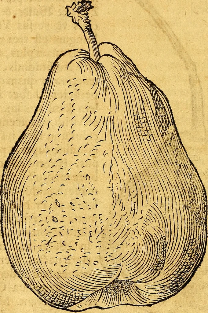 An illustration from Historia novi et admirabilis fontis balneique Bollensis in Ducatu Vvirtembergico ad acidulas Goepingenses ..., 1598, leaf 459
