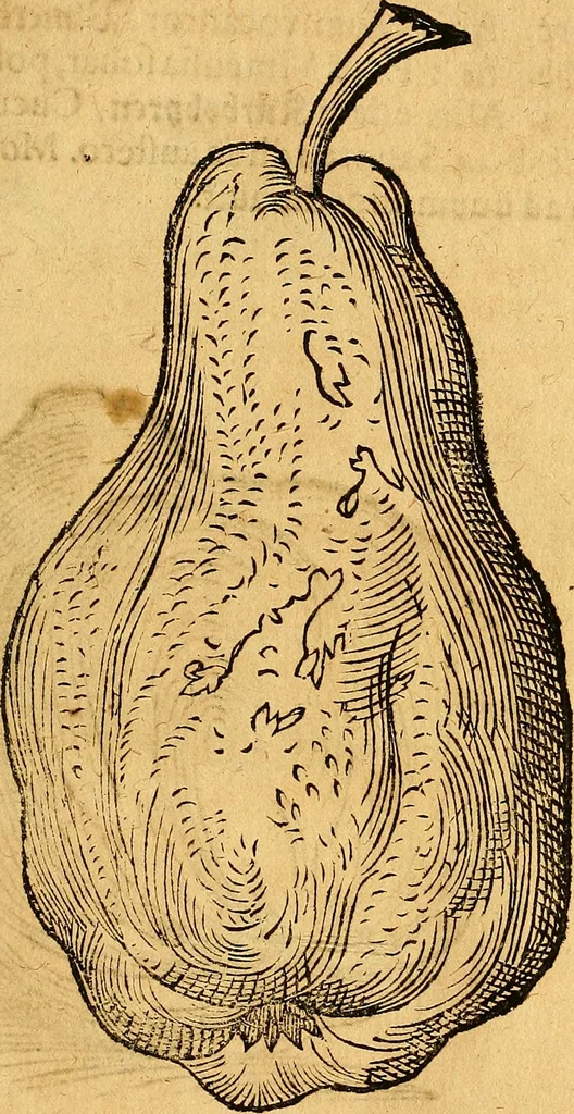An illustration from Historia novi et admirabilis fontis balneique Bollensis in Ducatu Vvirtembergico ad acidulas Goepingenses ..., 1598, leaf 460