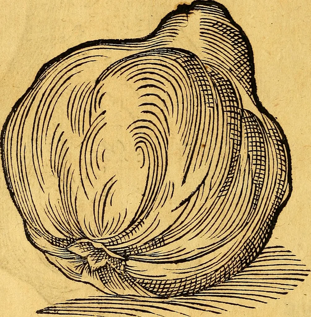 An illustration from Historia novi et admirabilis fontis balneique Bollensis in Ducatu Vvirtembergico ad acidulas Goepingenses ..., 1598, leaf 461