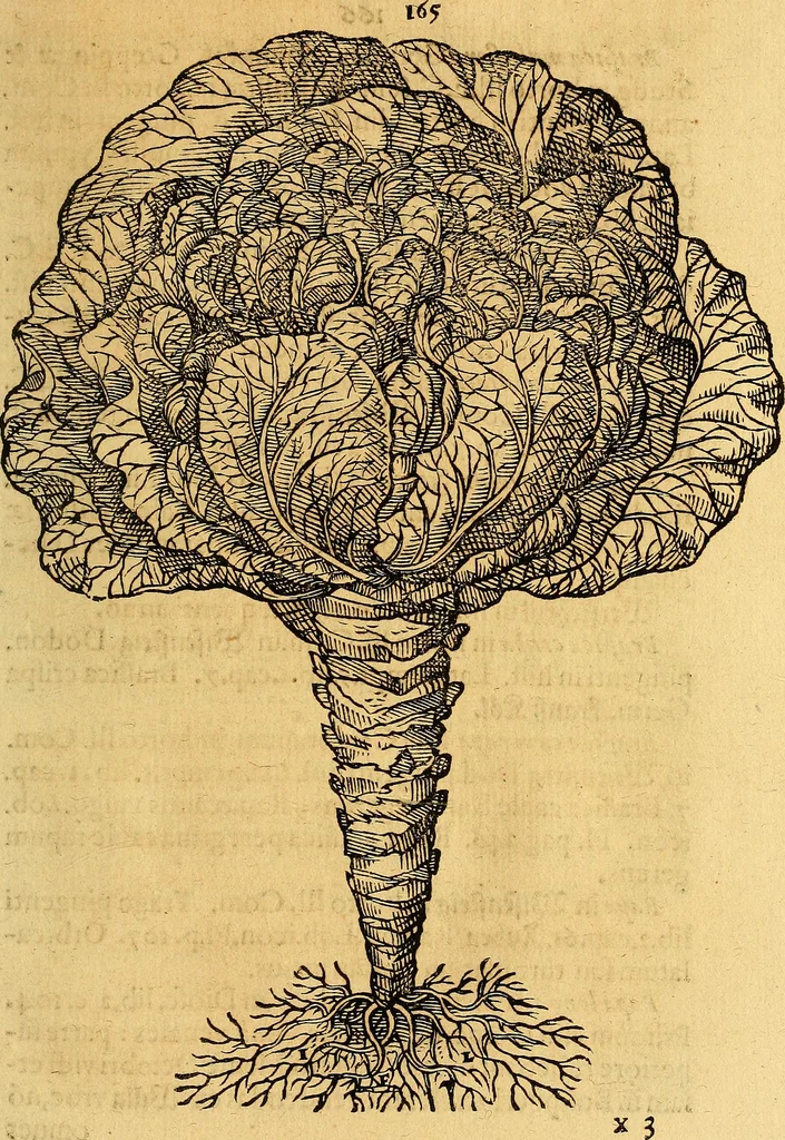 An illustration from Historia novi et admirabilis fontis balneique Bollensis in Ducatu Vvirtembergico ad acidulas Goepingenses ..., 1598, leaf 490