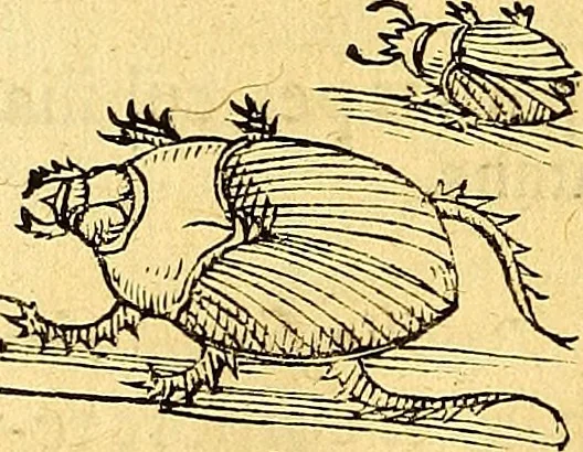 An illustration from Historia novi et admirabilis fontis balneique Bollensis in Ducatu Vvirtembergico ad acidulas Goepingenses ..., 1598, leaf 537